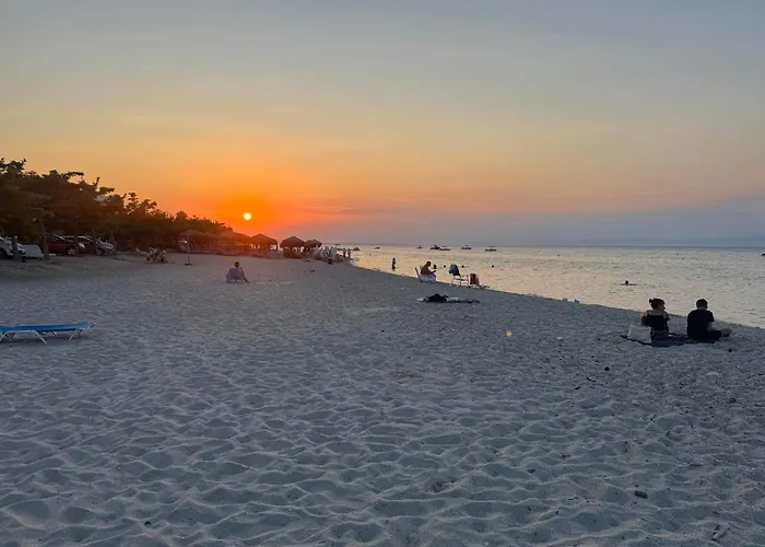 Sweet Dream * 佩科霍里